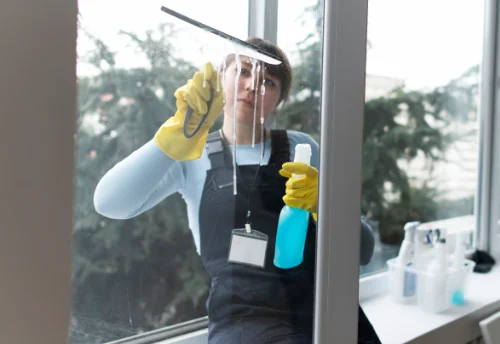 Nettoyage de vitres intérieures et extérieures à Saint-Uze